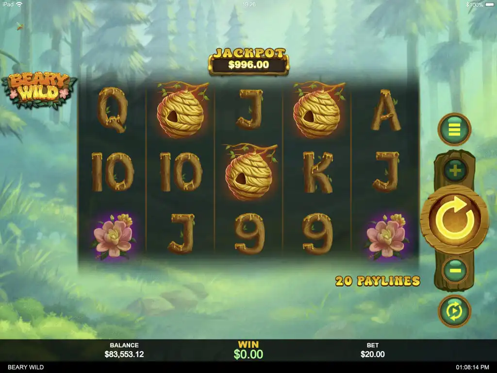 beary wild screenshot