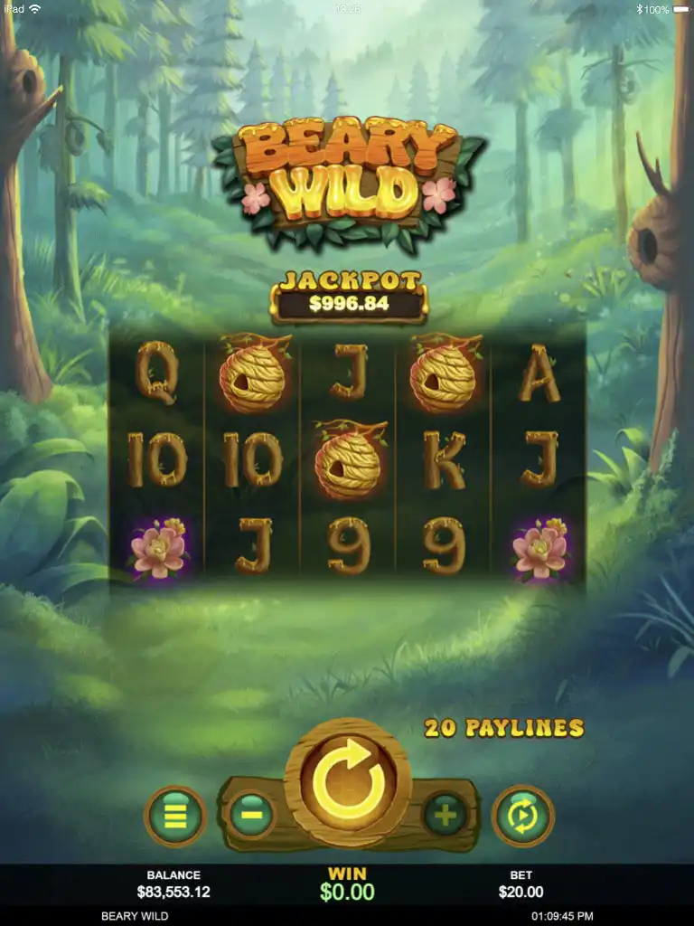 beary wild screenshot